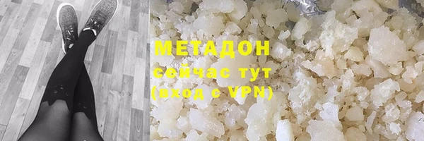 прущие грибы Надым