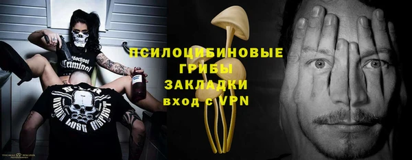 ALPHA-PVP Белокуриха