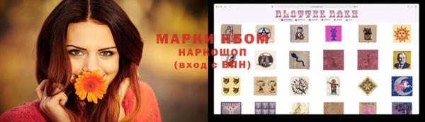 дживик Балахна