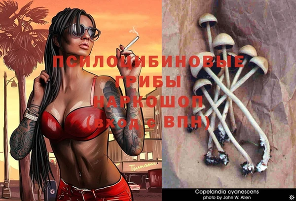 хмурый Наволоки